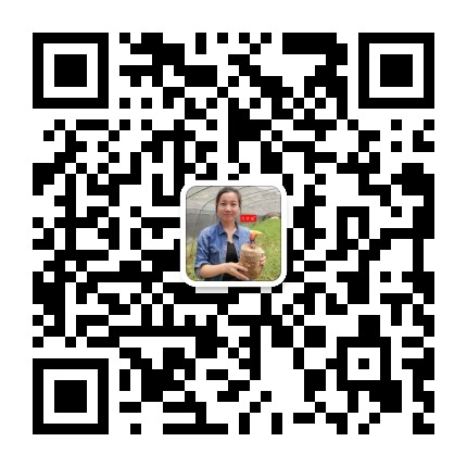 扫描二维码关注我们